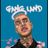 بیت  Gang Land