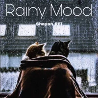 بیت  Rainy Mood