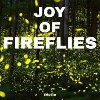 بیت  Joy Of  Fireflies