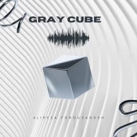 بیت  Gray Cube