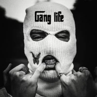تکست  Gang life 2