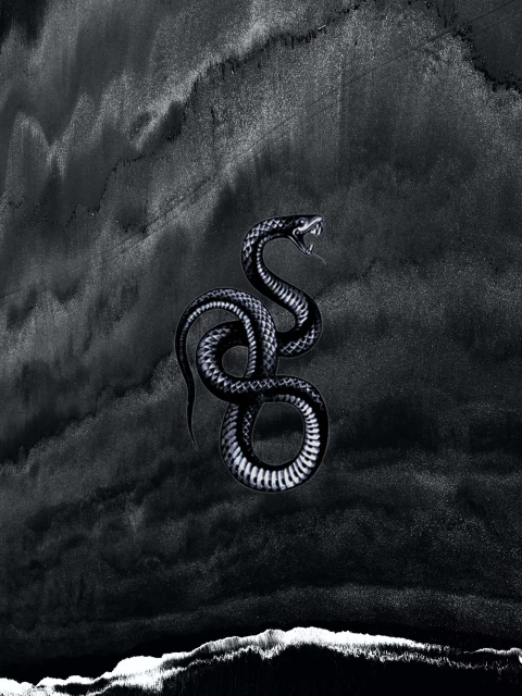 Snake Music