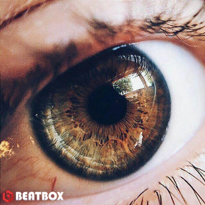 بیت  Eye