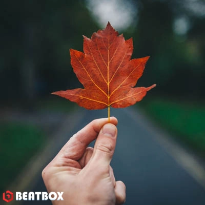 بیت  دلنوشت کد 74