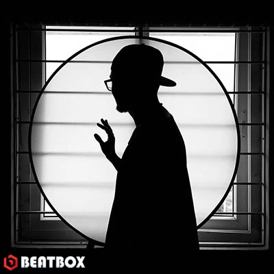 بیت  دیس لاو کد 302