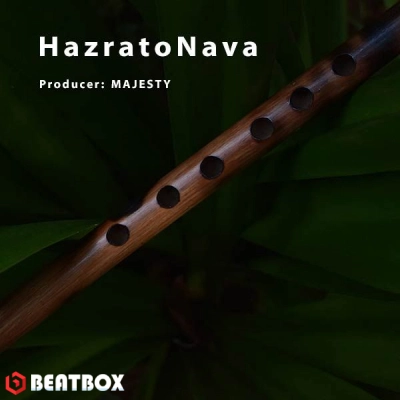 بیت  HazratoNava