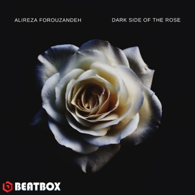 بیت  Darkside Of  The Rose
