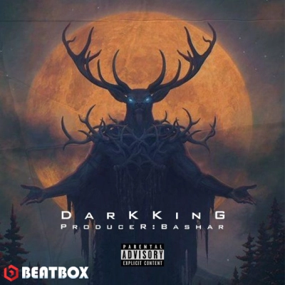 بیت  Dark King