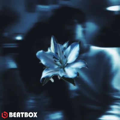 بیت  •|Bi To|•