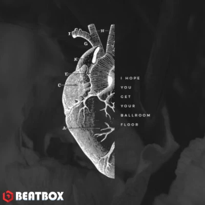 بیت  HernoBeat-00002