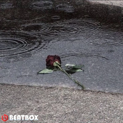 بیت  Dead Rose