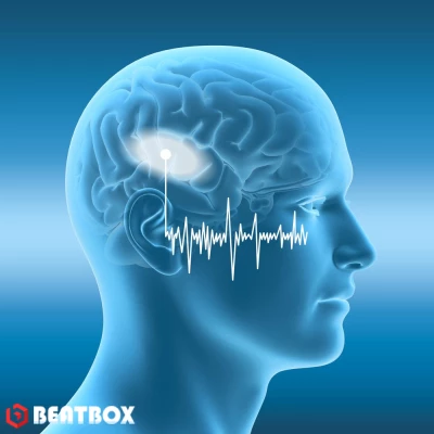 بیت  Brain Sound