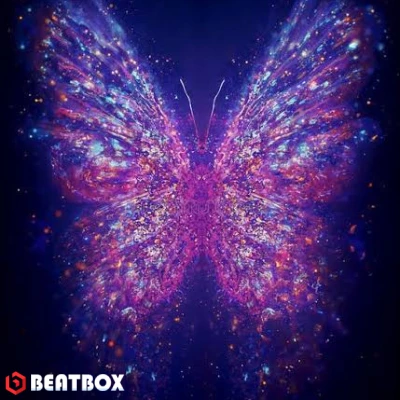 بیت  Butterfly