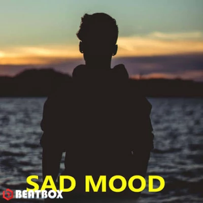 بیت  sad mood
